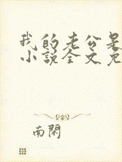 我的老公是大佬小说全文免费阅读