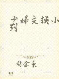 少妇交换小说系列