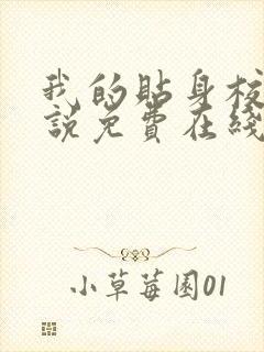 我的贴身校花小说免费在线听