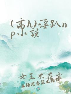 (高h)淫趴np小说