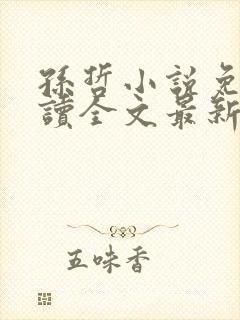 孙哲小说免费阅读全文最新章节下载