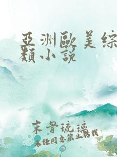 亚洲欧美综合另类小说