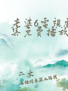 老婆6电视剧全集免费播放西瓜