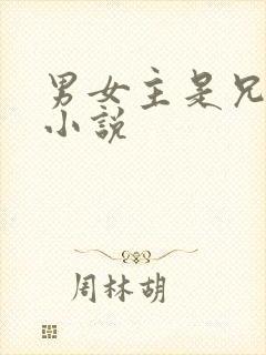 男女主是兄妹的小说