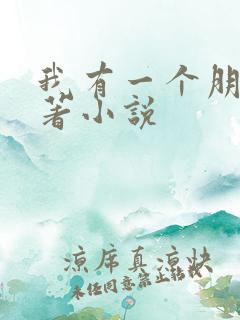 我有一个朋友原著小说