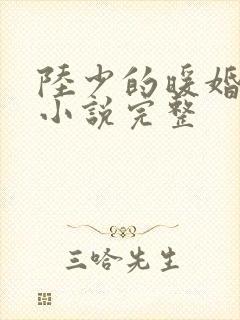 陆少的暖婚新妻小说完整