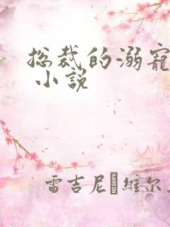 总裁的溺宠甜妻 小说