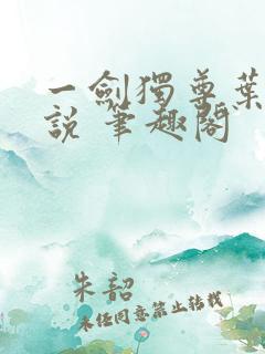 一剑独尊叶玄小说 笔趣阁