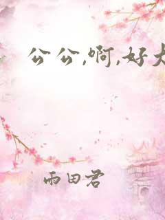 公公,啊,好大