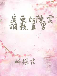 广东ts陈雯雯调教直男