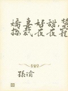 娇妻好甜,禁欲总裁夜夜宠 小说