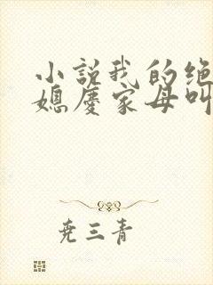 小说我的绝色儿媳庆家母叫苏媚免费