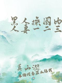 黑人操国内精品人妻一二三四区