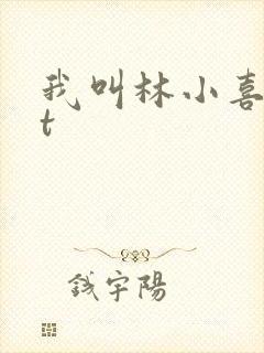 我叫林小喜txt