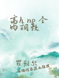 高h np 全肉调教