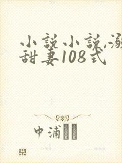 小说小说,溺宠甜妻108式