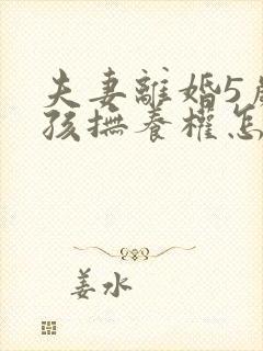 夫妻离婚5岁小孩抚养权怎么判