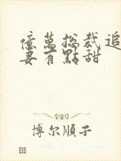 亿万总裁追妻鲜妻有点甜