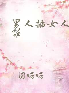 男人插女人的小说