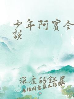 少年阿宾全集小说