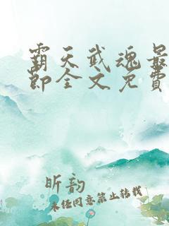 霸天武魂最新章节全文免费阅读