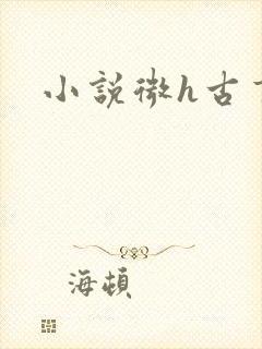 小说微h古言