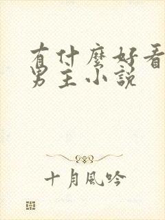 有什么好看的双男主小说