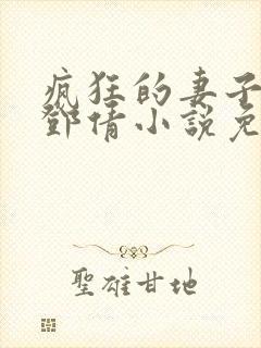 疯狂的妻子林瑶邓倩小说免费阅读