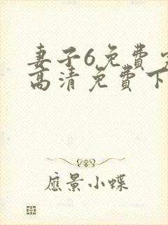 妻子6免费完整高清免费下载版电视剧