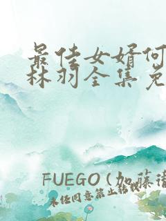 最佳女婿何家荣林羽全集免费阅读