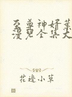 至尊神婿叶昊郑漫儿全集大结局