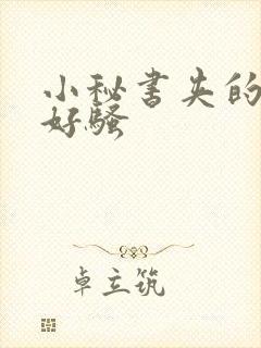 小秘书夹的真紧好骚