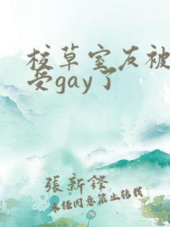 校草室友被清冷受gay了