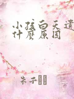 小孩白天遗尿是什么原因