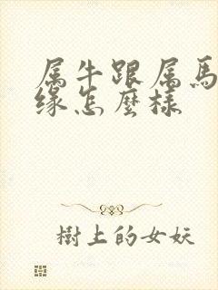 属牛跟属马的姻缘怎么样