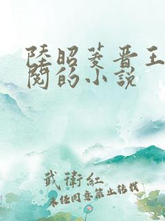 陆昭菱晋王周时阅的小说