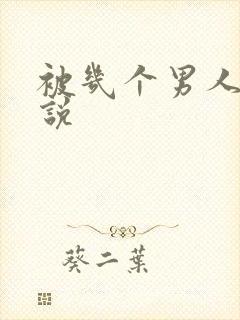 被几个男人操小说