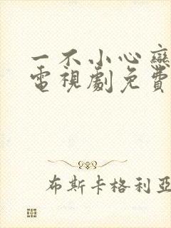 一不小心恋爱了电视剧免费观看全集