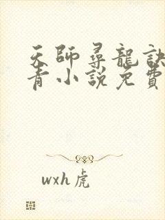 天师寻龙诀皮剑青小说免费