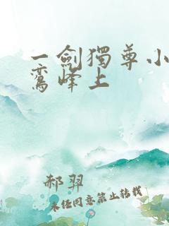 一剑独尊小说青鸾峰上