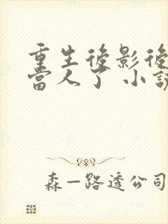 重生后影后她不当人了 小说