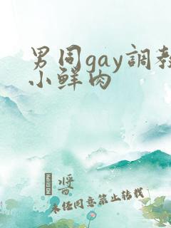 男同gay调教小鲜肉
