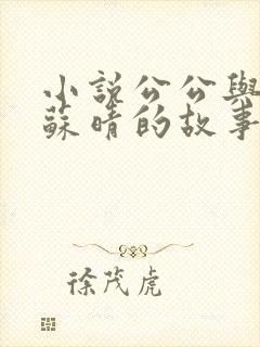 小说公公与儿媳苏晴的故事全文阅读