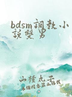 bdsm调教小说双男