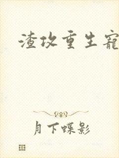 渣攻重生宠受文