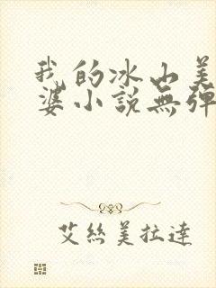 我的冰山美女老婆小说无弹窗