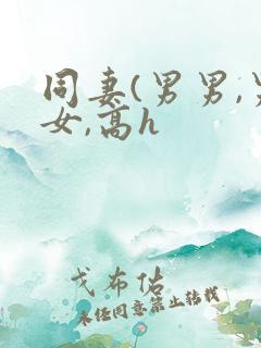 同妻(男男,男女,高h