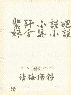 紫轩小说吧兄弟妹合集小说