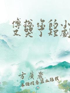 傅总你的小可怜又哭了短剧全集