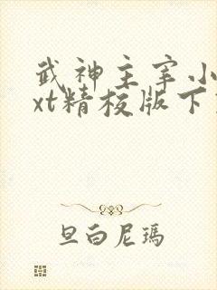 武神主宰小说txt精校版下载